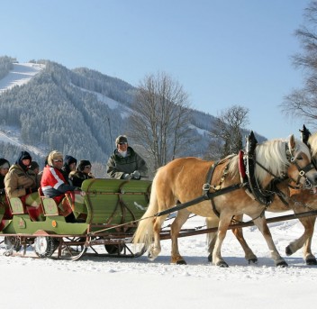 Pferdeschlittenfahren in Ramsau am Dachstein