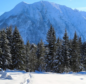 Winterwanderweg durch den Wald in Ramsau am Dachstein